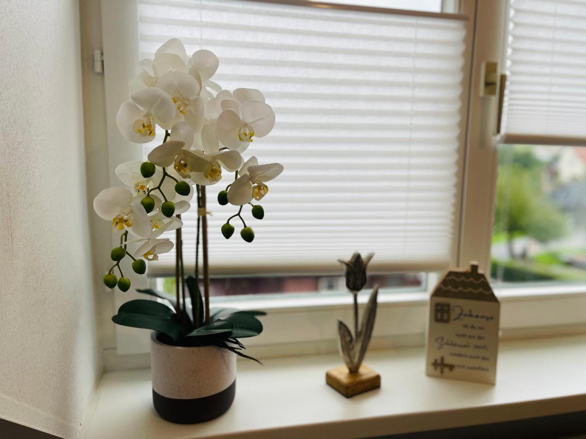 Appartement Moments Balingen